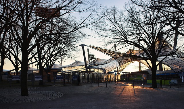 转会市场